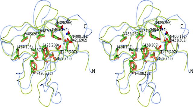 [Figure 6]