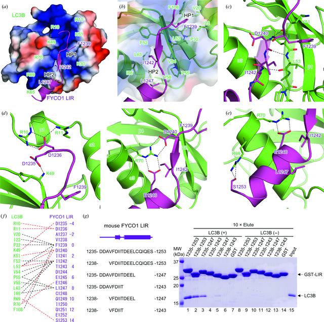 [Figure 2]