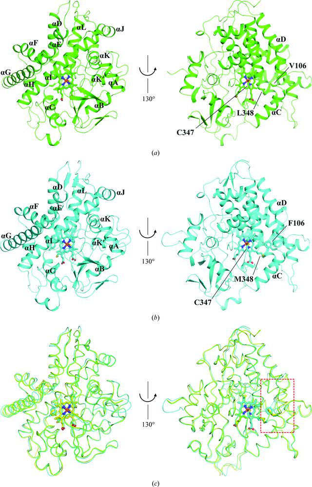 [Figure 1]