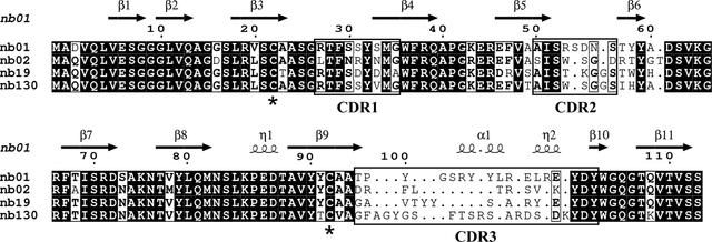 [Figure 1]