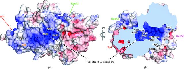 [Figure 4]