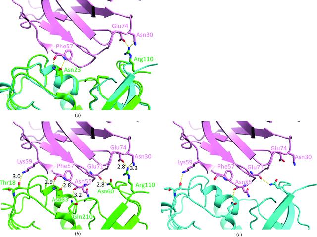 [Figure 2]