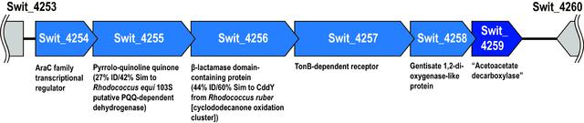 [Figure 1]