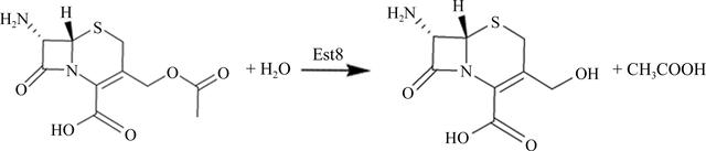 [Figure 1]