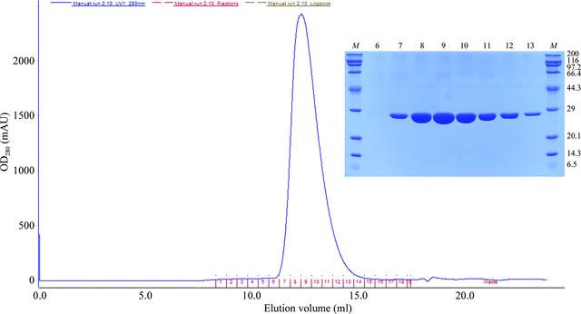 [Figure 2]