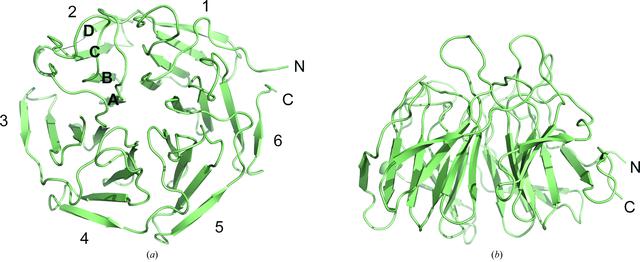 [Figure 3]