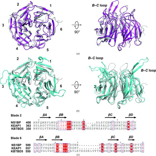 [Figure 4]