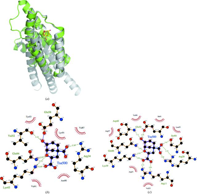 [Figure 3]