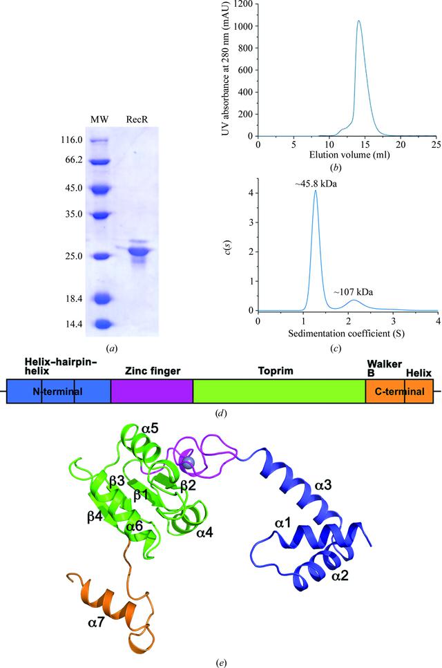 [Figure 1]