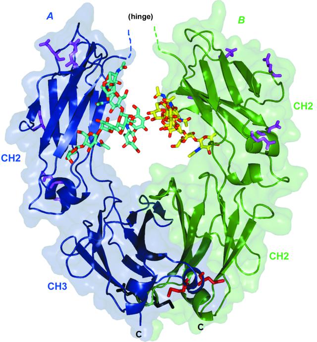 [Figure 2]