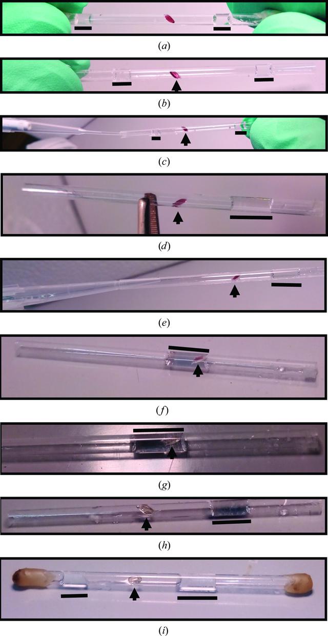 [Figure 4]