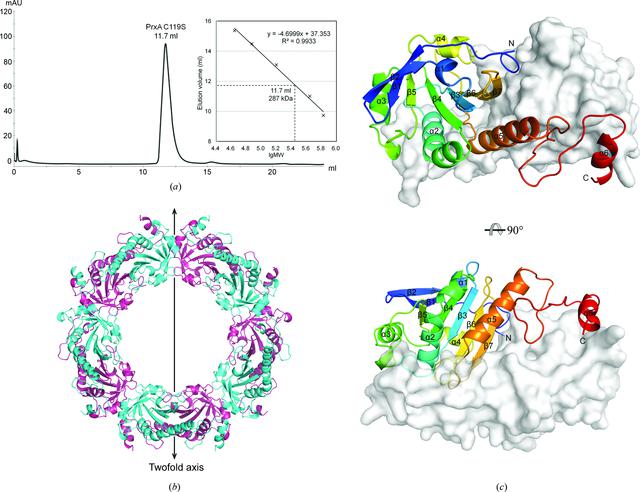 [Figure 1]