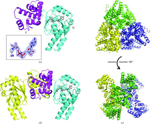 [Figure 1]