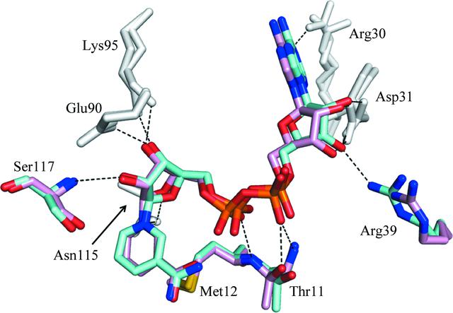 [Figure 4]