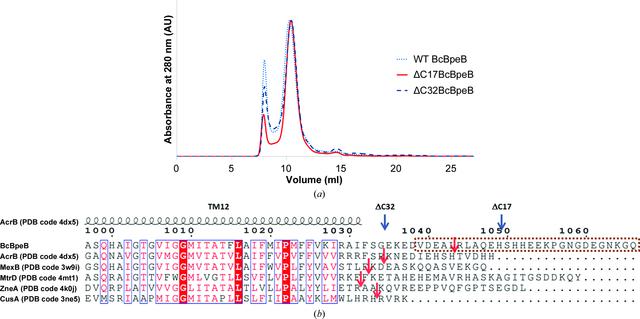 [Figure 1]