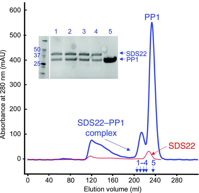 [Figure 2]