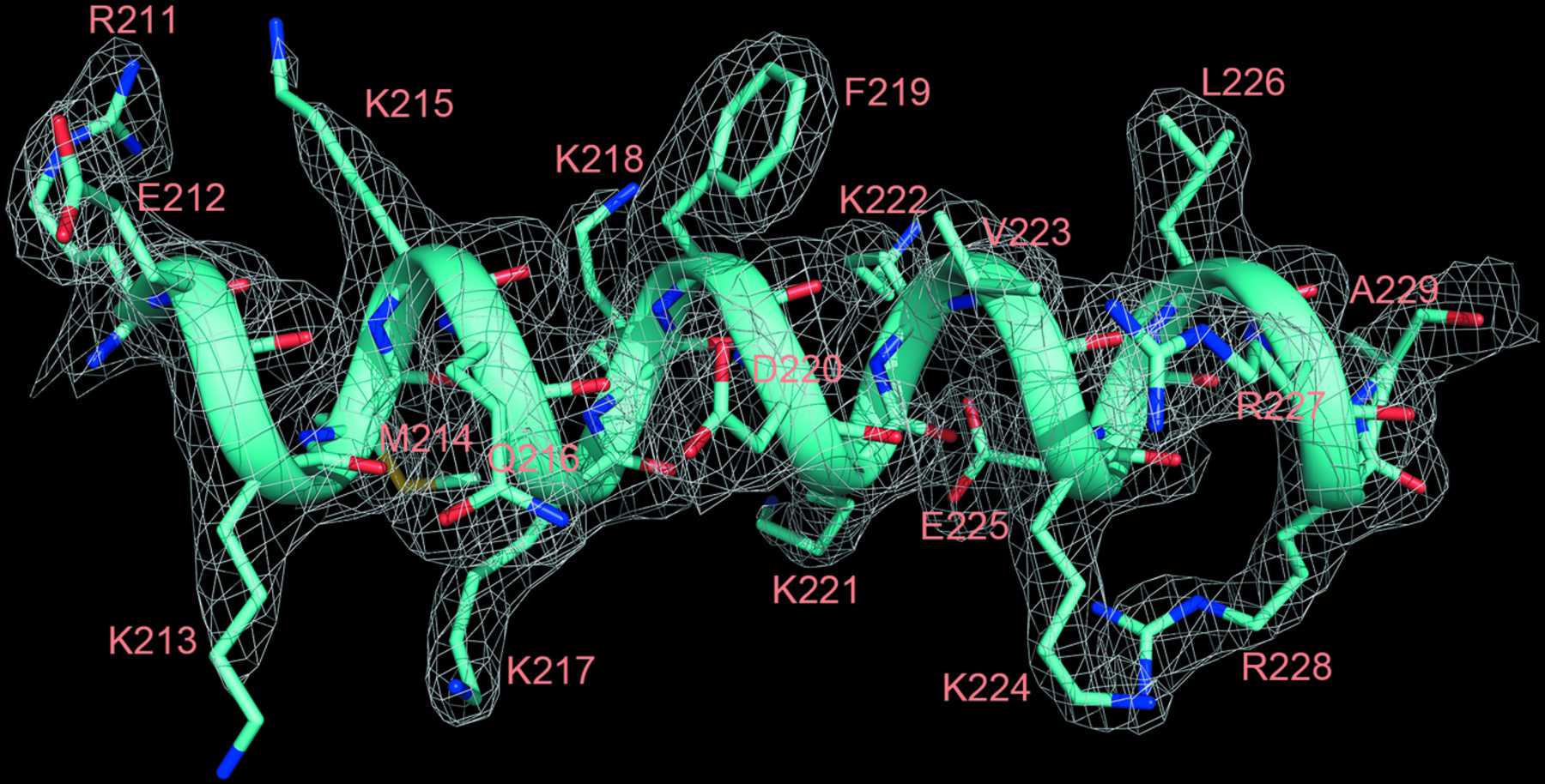 (IUCr) The redefined DNA-binding domain of human xeroderma pigmentosum ...