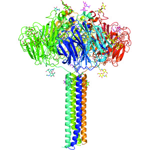 (IUCr) Structure of an Influenza A virus N9 neuraminidase with a ...