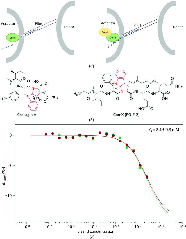 [Figure 3]