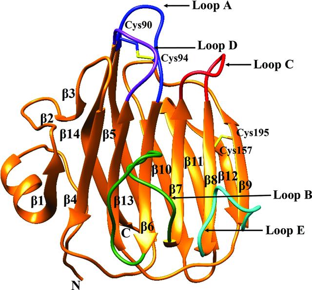 [Figure 2]