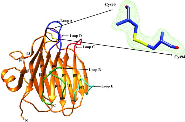 [Figure 4]