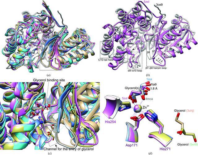 [Figure 5]