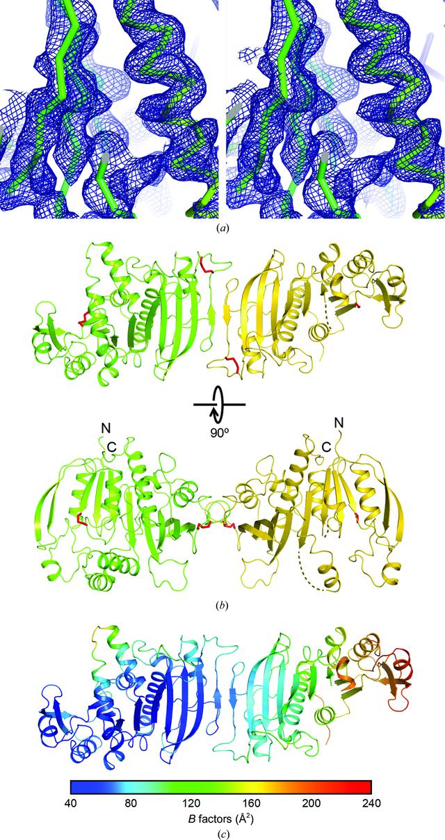 [Figure 3]