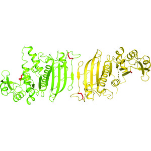 (IUCr) Crystal structure of phosphoribulokinase from Synechococcus sp ...