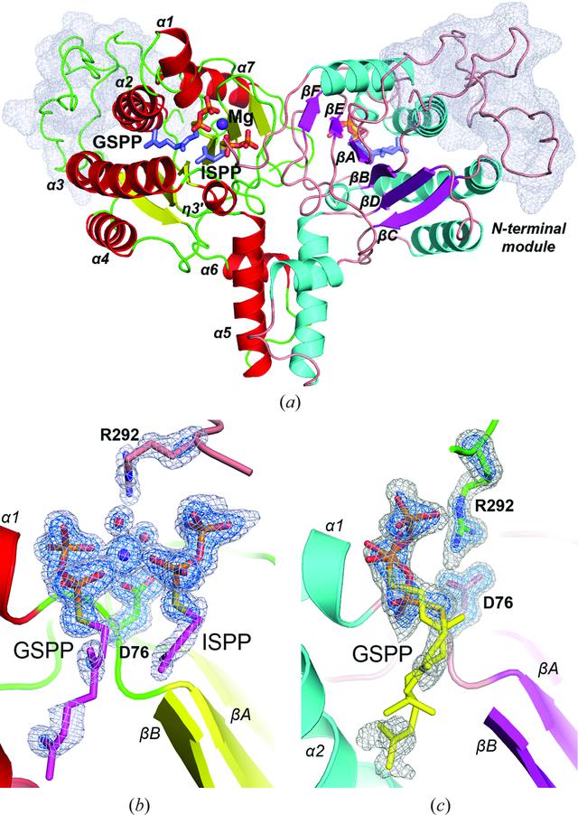 [Figure 1]