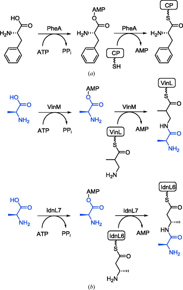 [Figure 1]