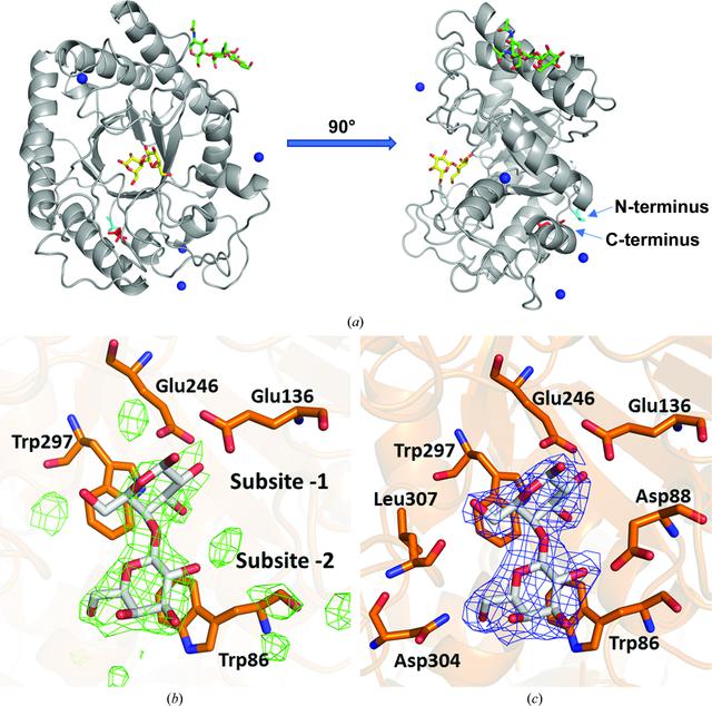 [Figure 1]