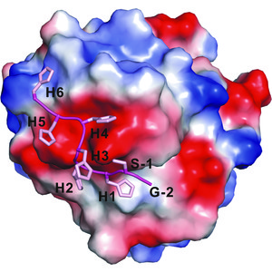 (IUCr) Crystal structure of the SPRY domain of human SPSB2 in the apo state