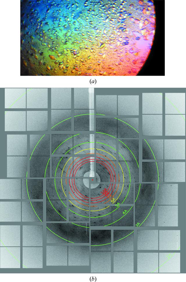 [Figure 1]