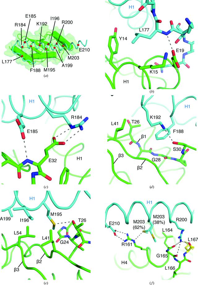 [Figure 2]