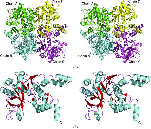 [Figure 1]