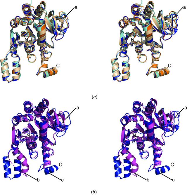 Pyrolatte Structure (IUCr) Crystal structure of UDP-glucose pyrophosphorylase from ...