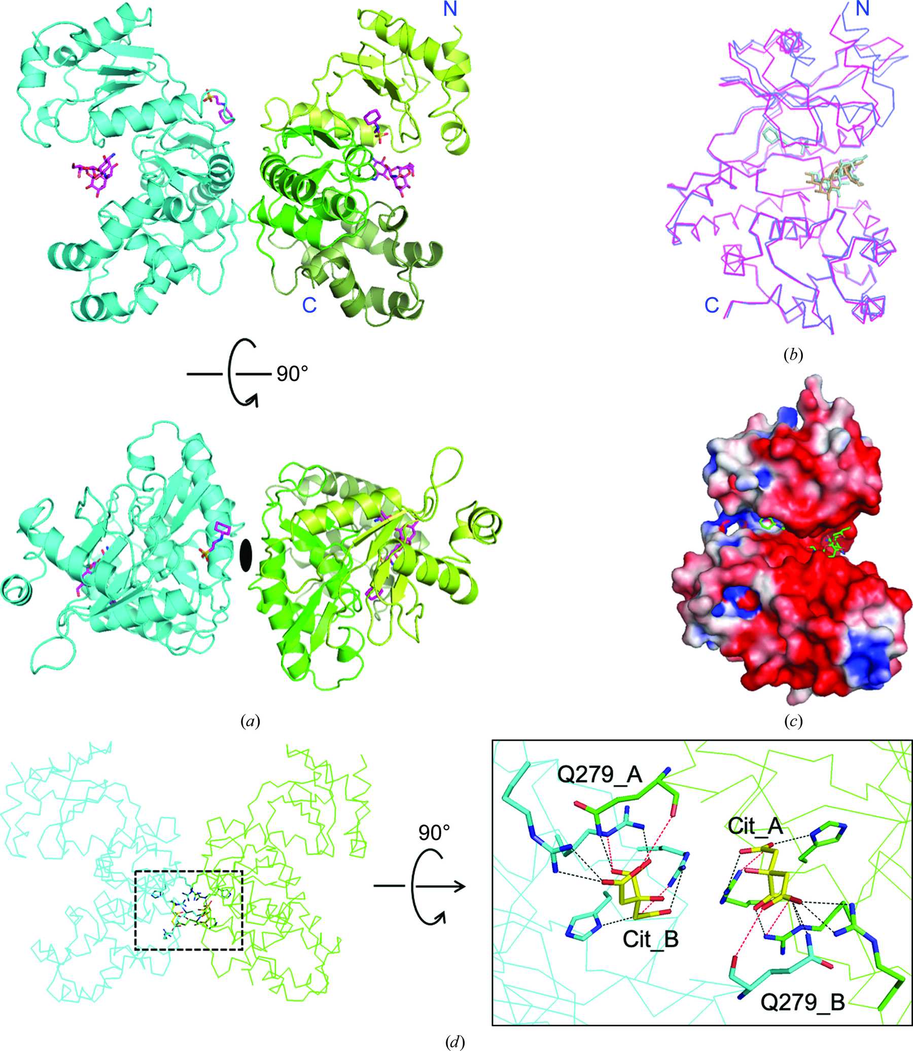 (IUCr) Structural basis for the substrate recognition of aminoglycoside ...