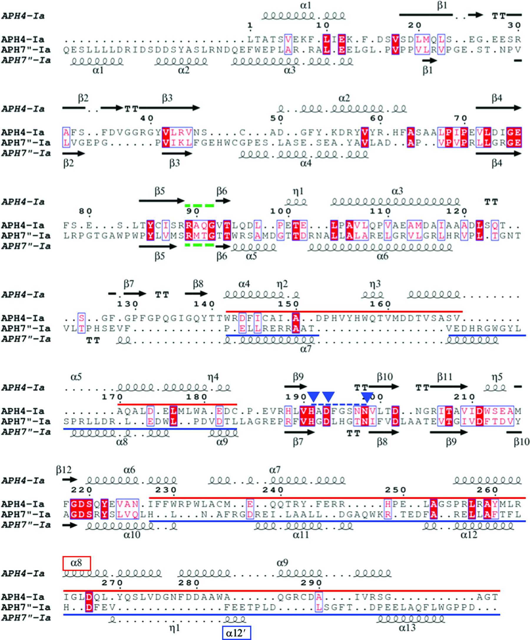 (IUCr) Structural basis for the substrate recognition of aminoglycoside ...