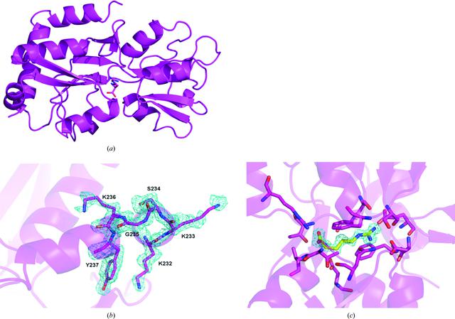 [Figure 2]