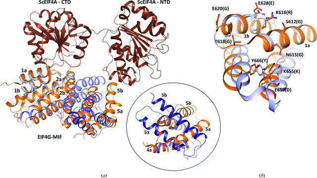 [Figure 3]