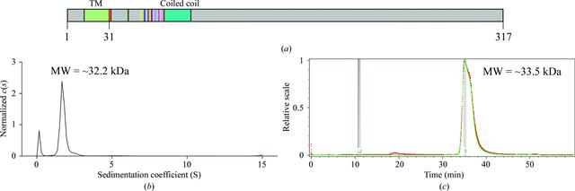 [Figure 1]