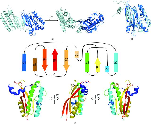 [Figure 2]