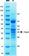 [Figure 2]