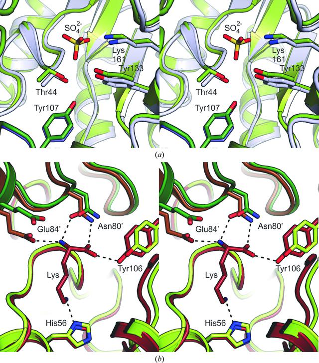 [Figure 4]