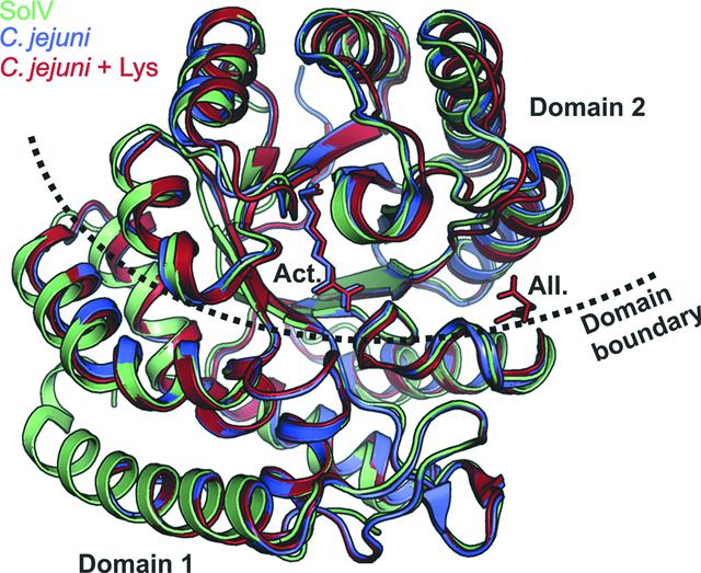 [Figure 5]