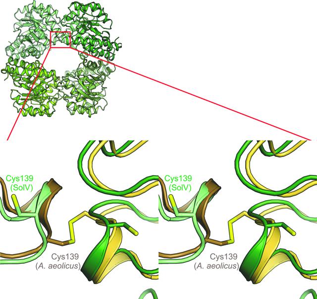 [Figure 6]