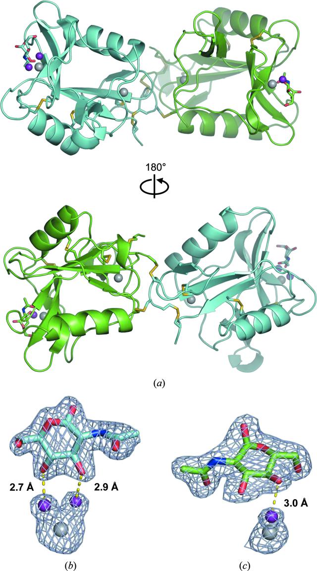 [Figure 1]