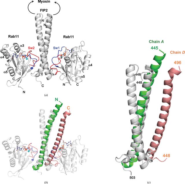 [Figure 3]