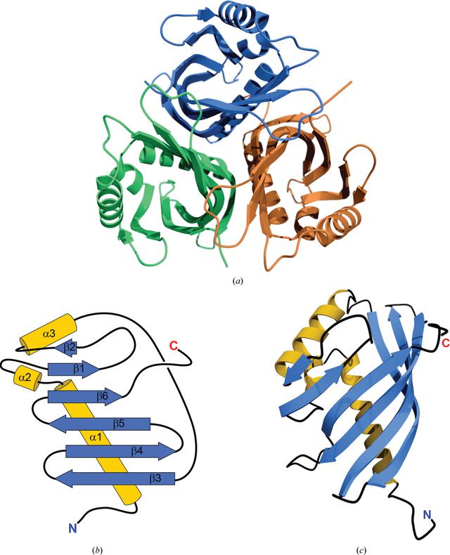 [Figure 2]