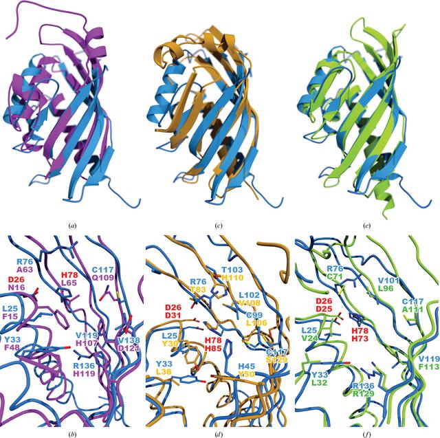 [Figure 4]